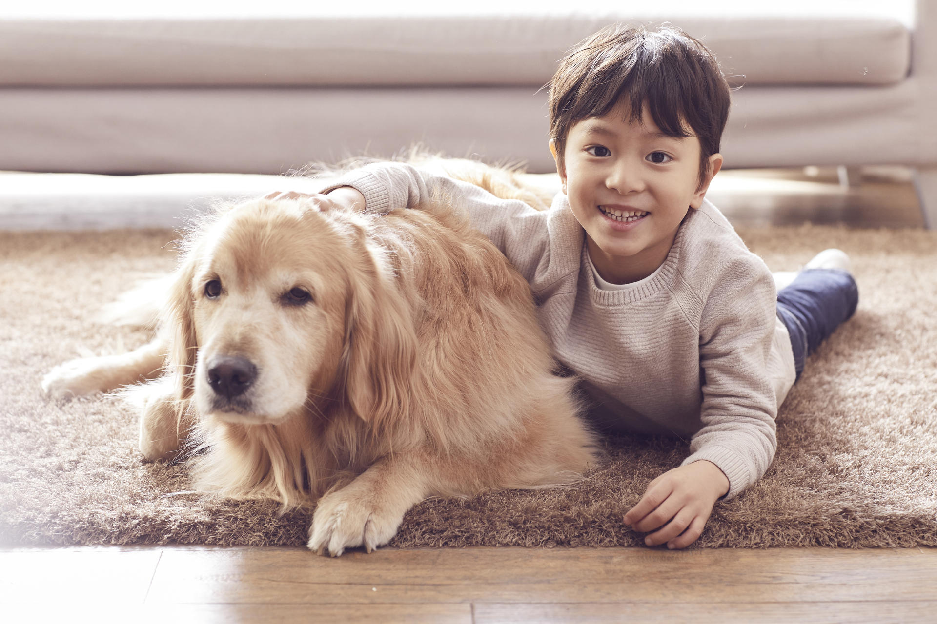 반려동물분양, 어떤 부분을 체크해야 할까? : 반려동물정보