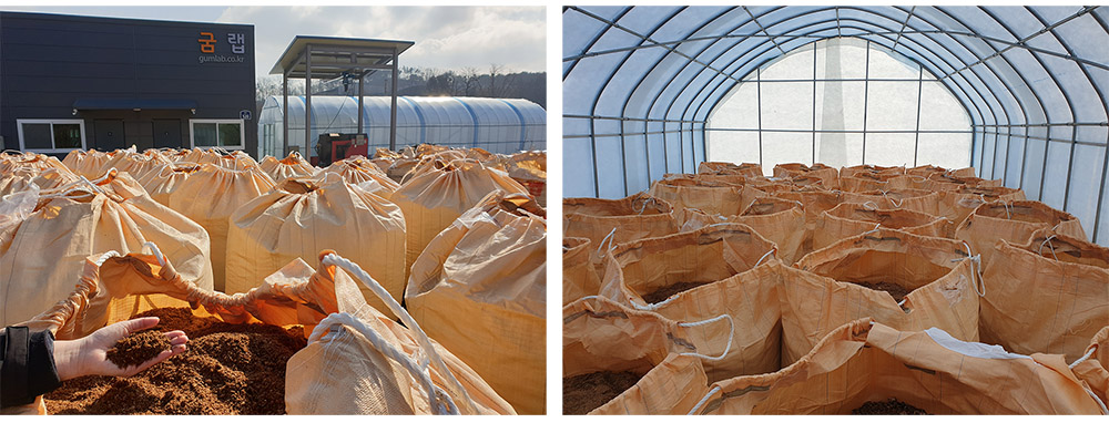 버섯 장인이 운영하는 농장에서 공수한 버섯 배지로 자체 발효 제조한 굼벵이 사료