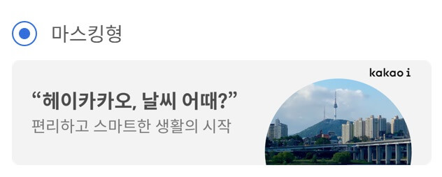 비즈보드 마스킹형