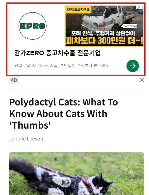 인지도낮은 웹사이트 구글광고노출