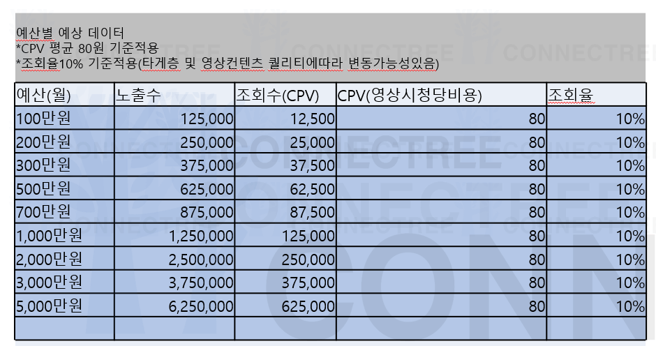 유튜브 영상광고 예상 단가표