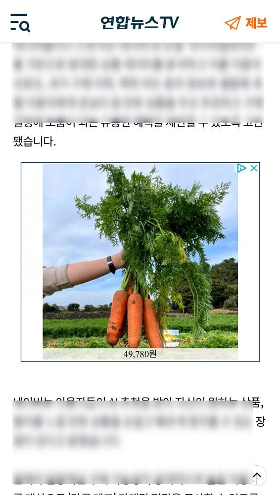 뉴스기사 배너광고 노출예시