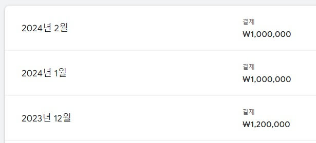 매월 광고비용 지출 내역