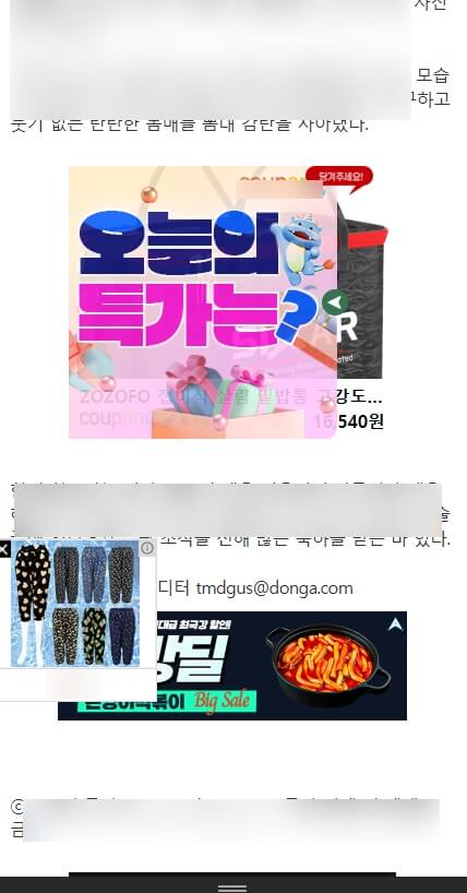 기사 내용을 가린 광고배너