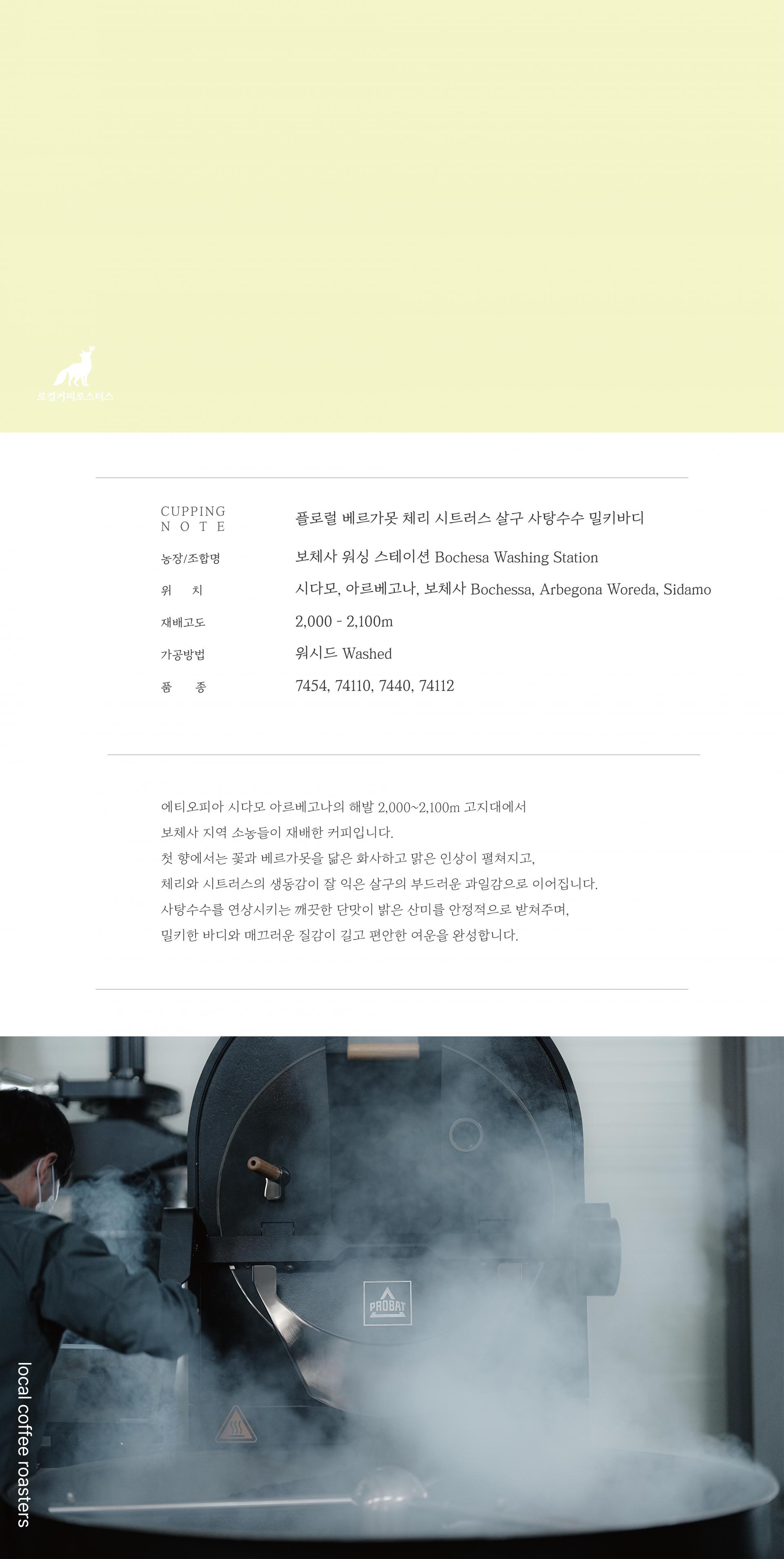 에티오피아 시다모 아르베고나 보체사 | 스페셜티 싱글오리진 원두 200g부터