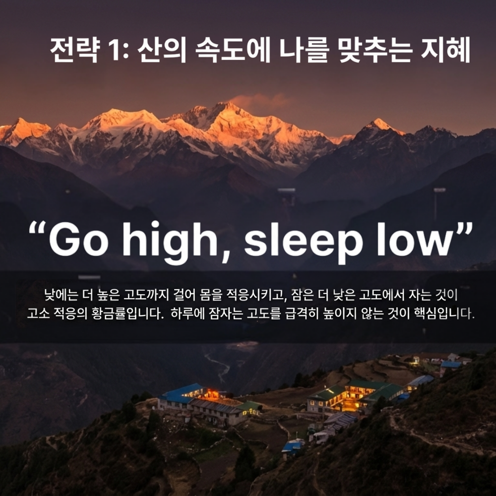 0f1a9687e3887.png