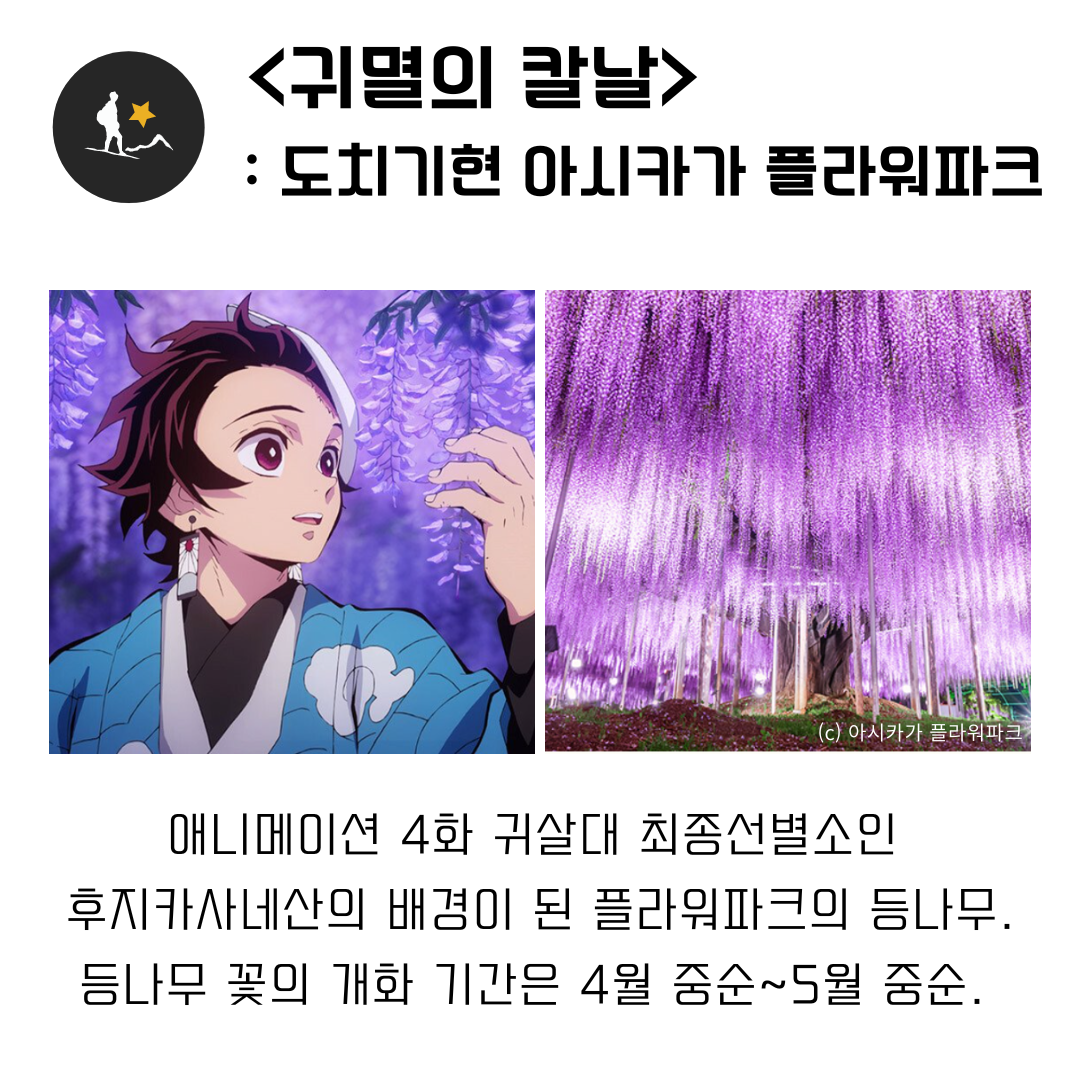 1adcbf45c39a5.png