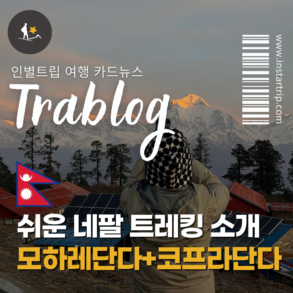 4832ca6119582.png