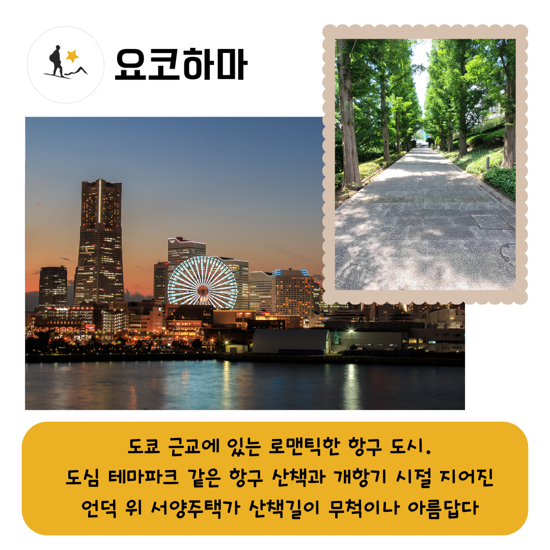 5299db6d919f3.png