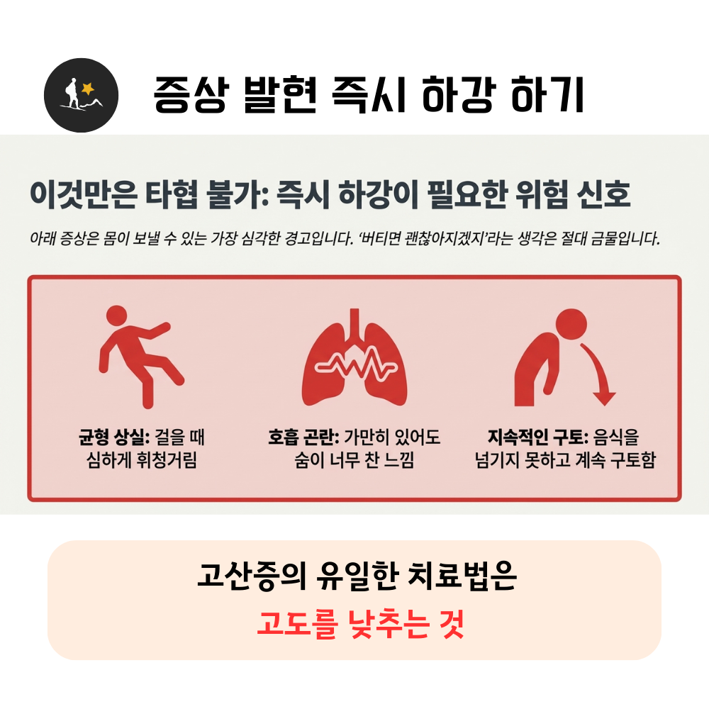 8af906974a739.png