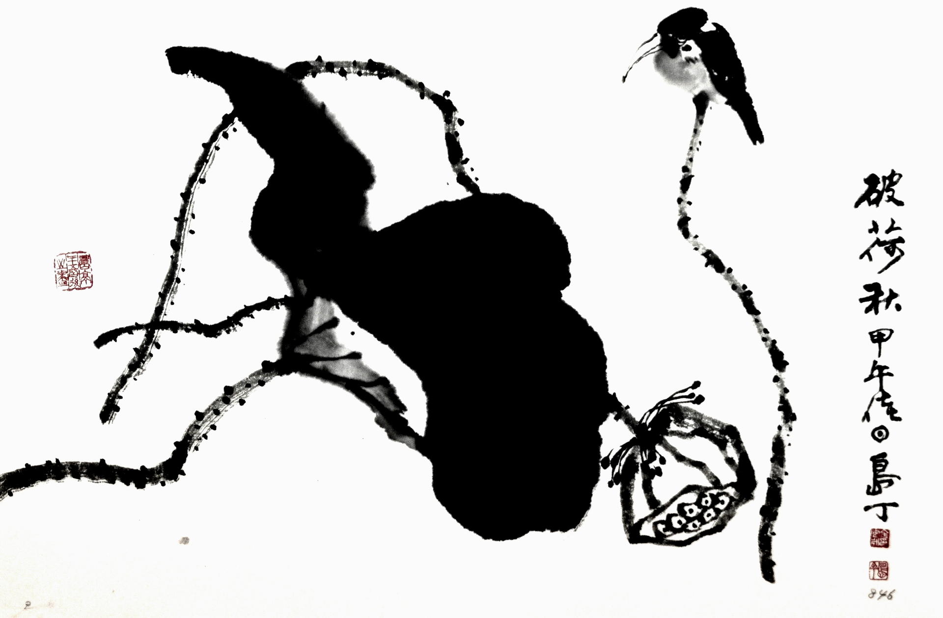 c4f569d772faf.jpg
