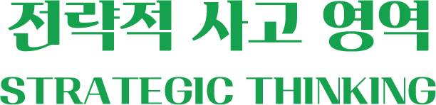 전략적 사고 영역 STRATEGIC THINKING