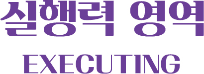 실행력 영역  EXECUTING