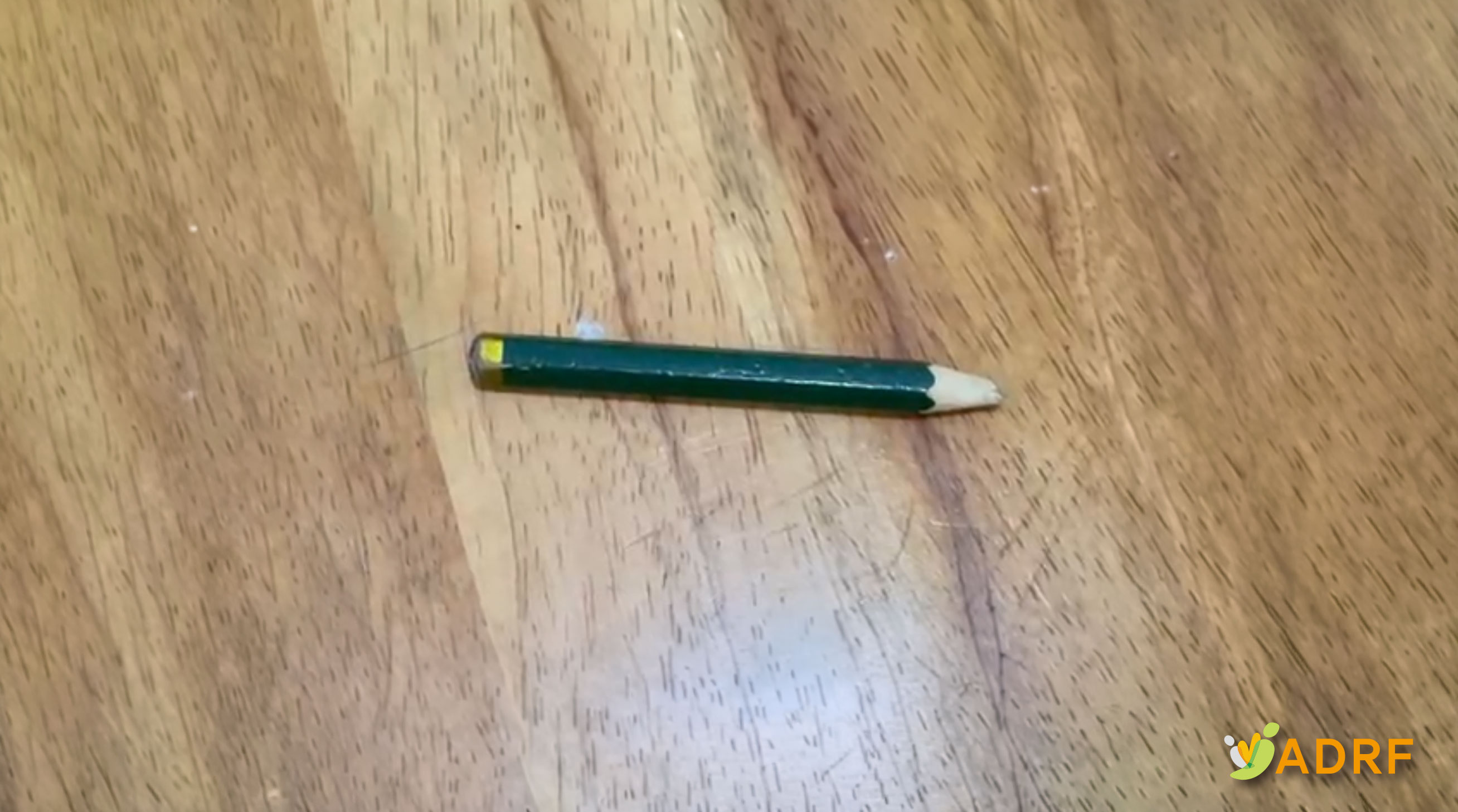 d85b2f2f2e814.jpg