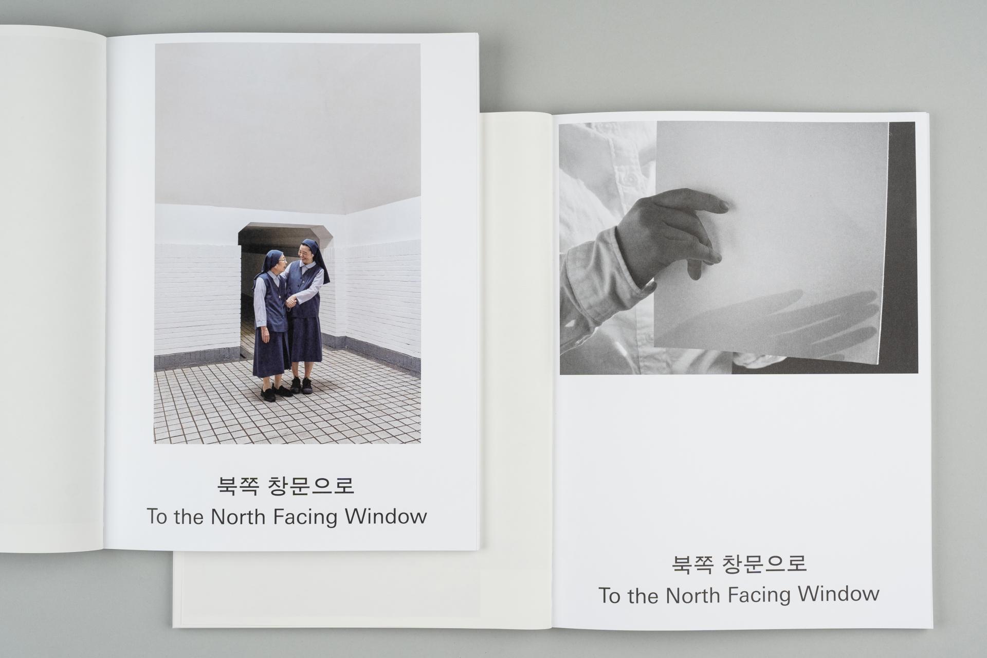 북쪽 창문으로 / 전명은