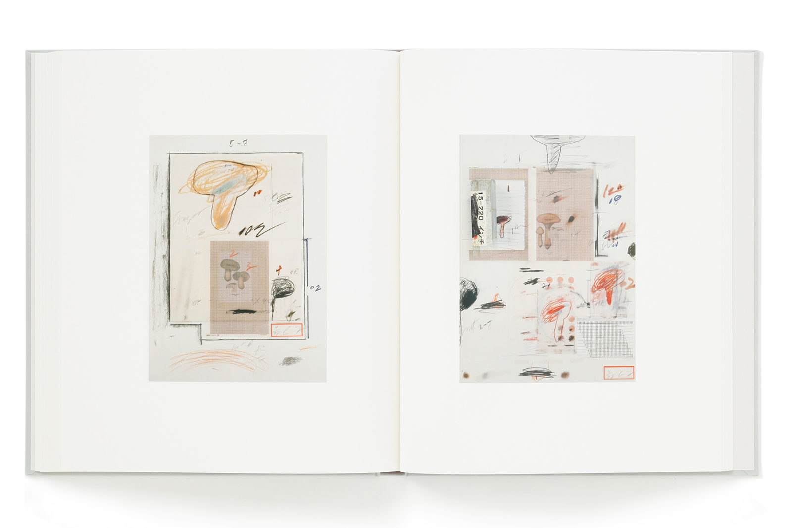 恵みの時 大幅値下げ Cy Twombly A MONOGRAPH 作品集 | iuggu.ru