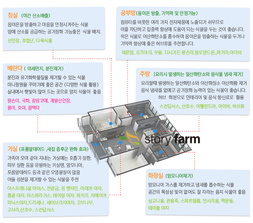 식물 배치도