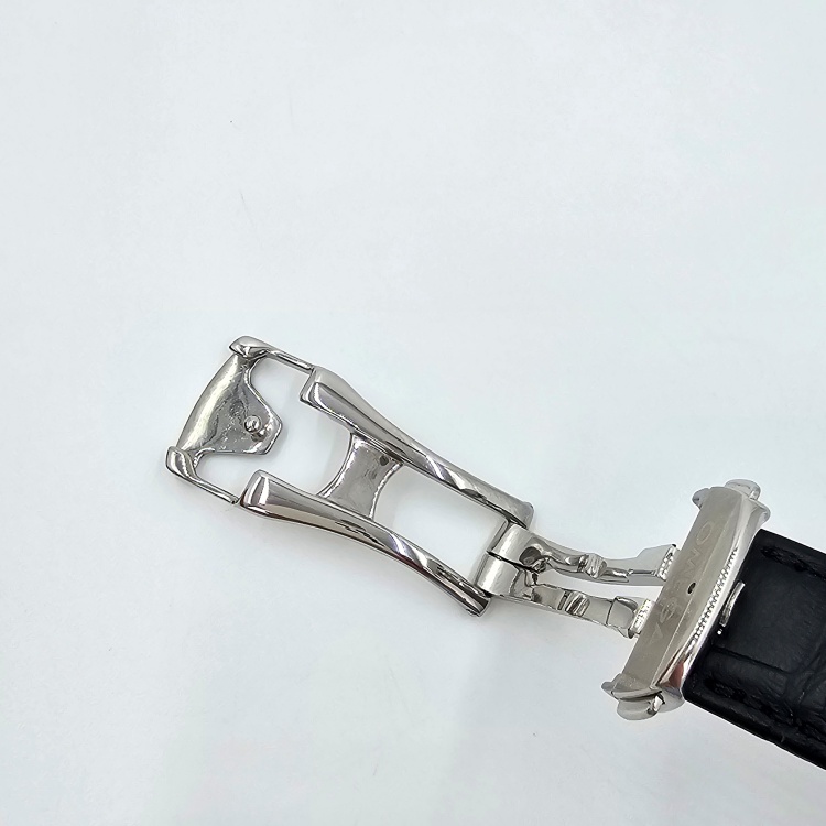 오메가 씨마스터 아쿠아테라 38.5mm 오토매틱 시계 5521