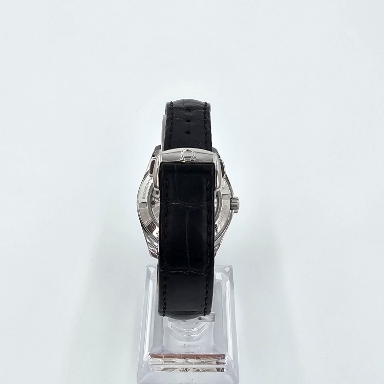 오메가 씨마스터 아쿠아테라 38.5mm 오토매틱 시계 5521