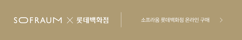 롯데백화점 몰.png