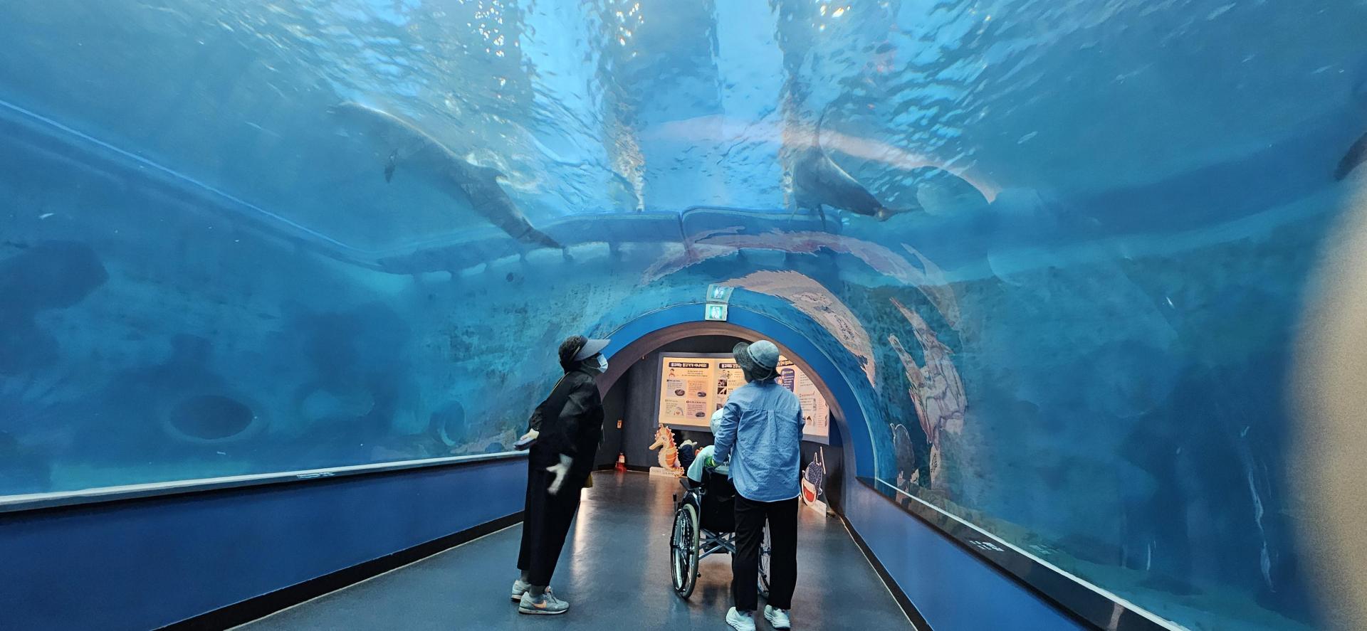 a7870d7c36c98.jpg