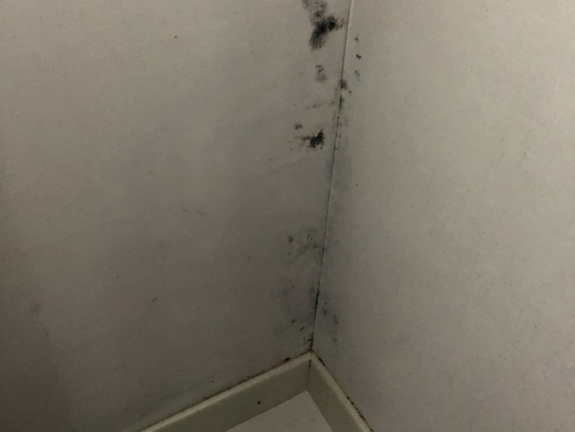 20760e2af8ae4.jpg