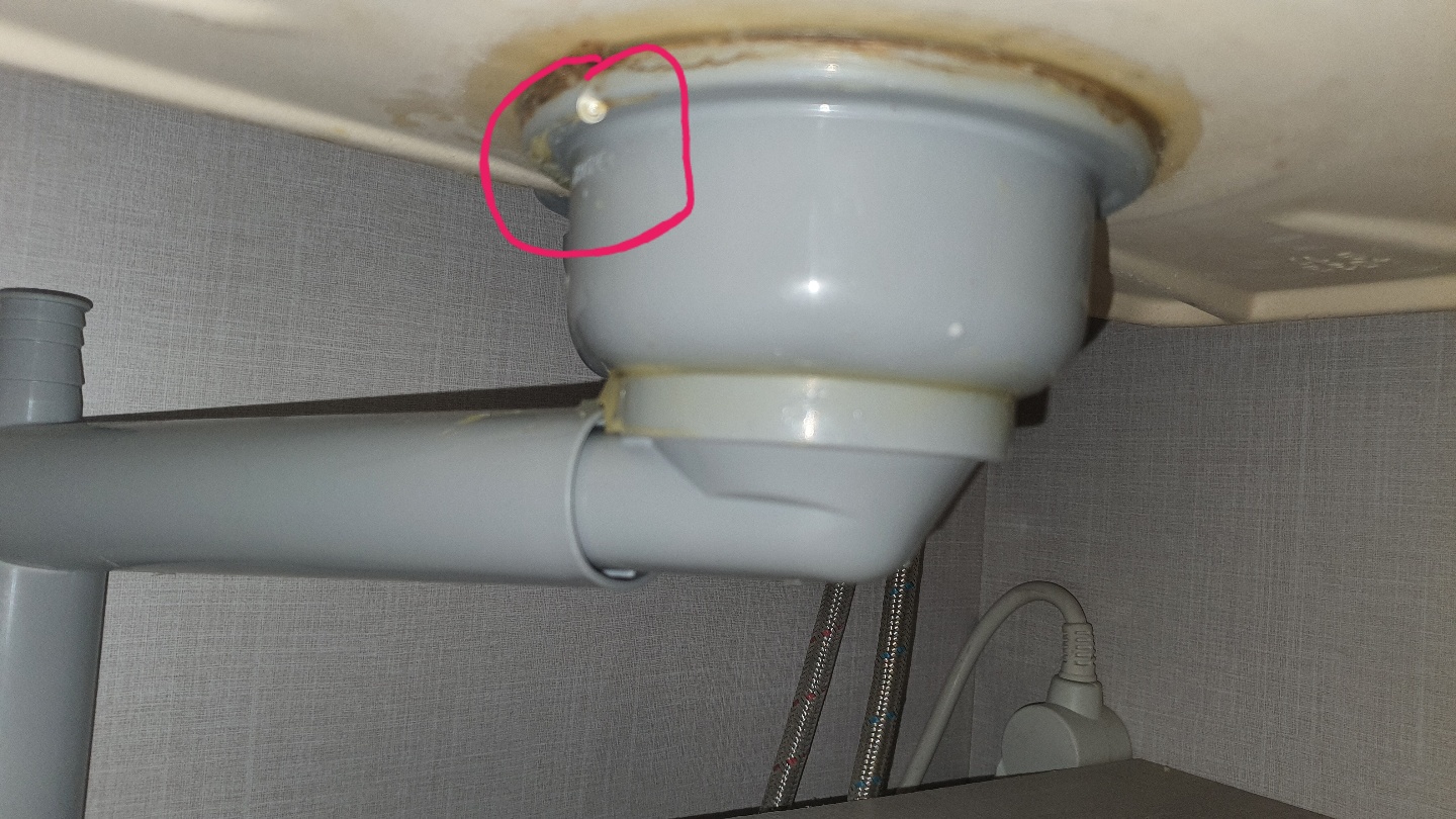 21ef6bf88081e.jpg