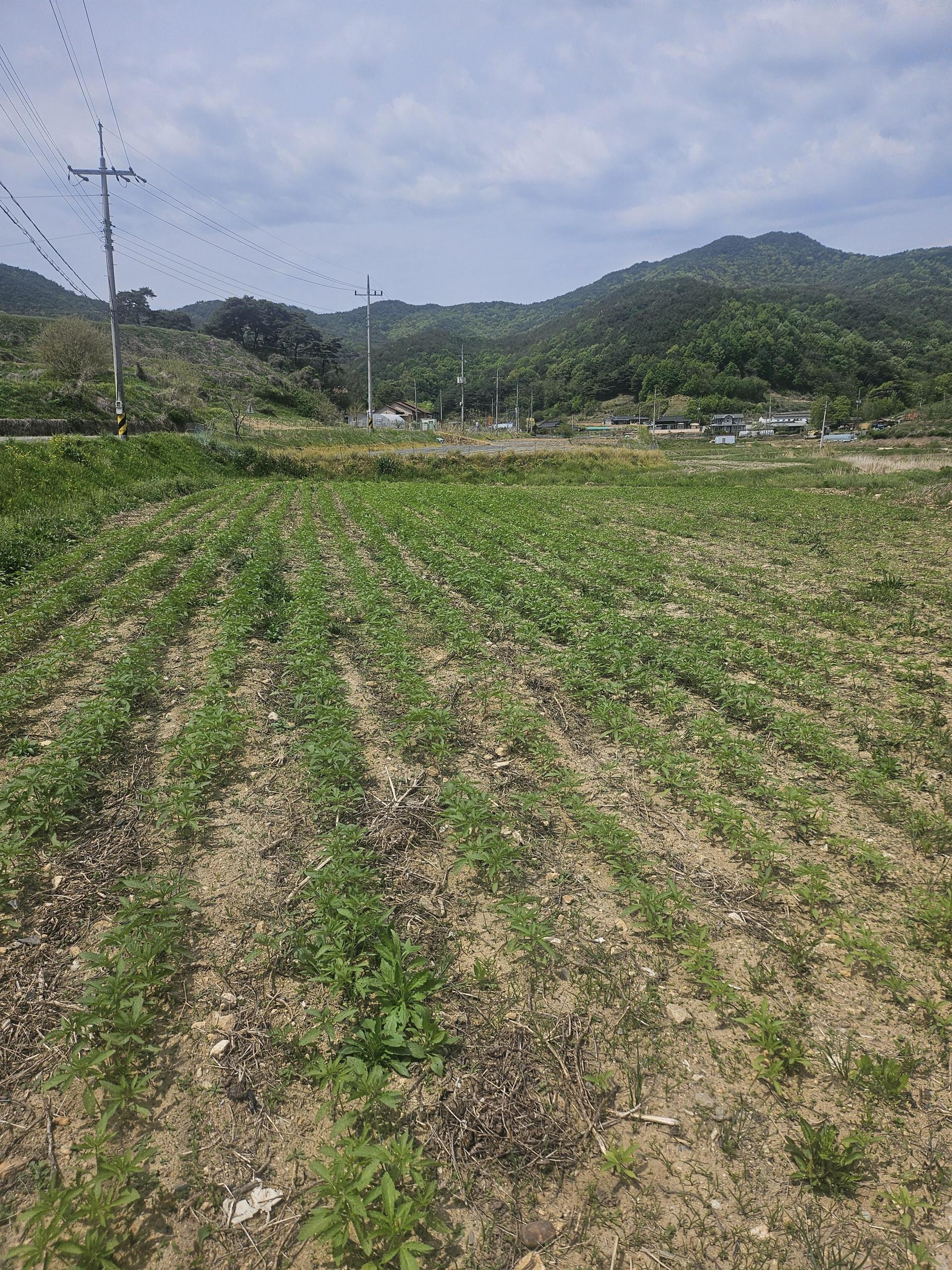 f0858c8f606d3.jpg