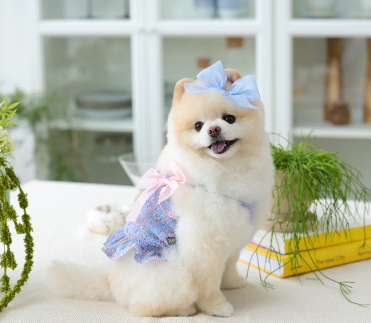 Flower Smocking Dress