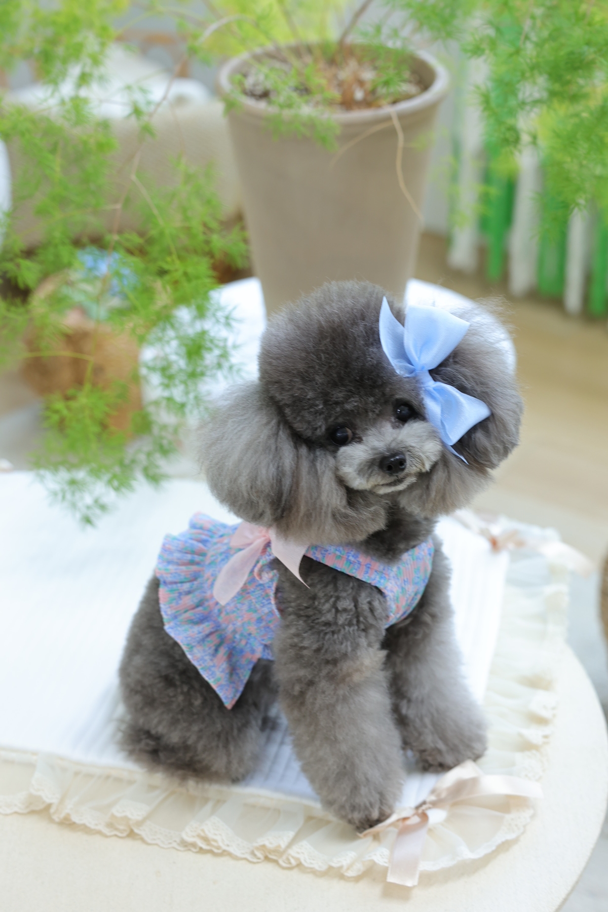 Flower Smocking Dress