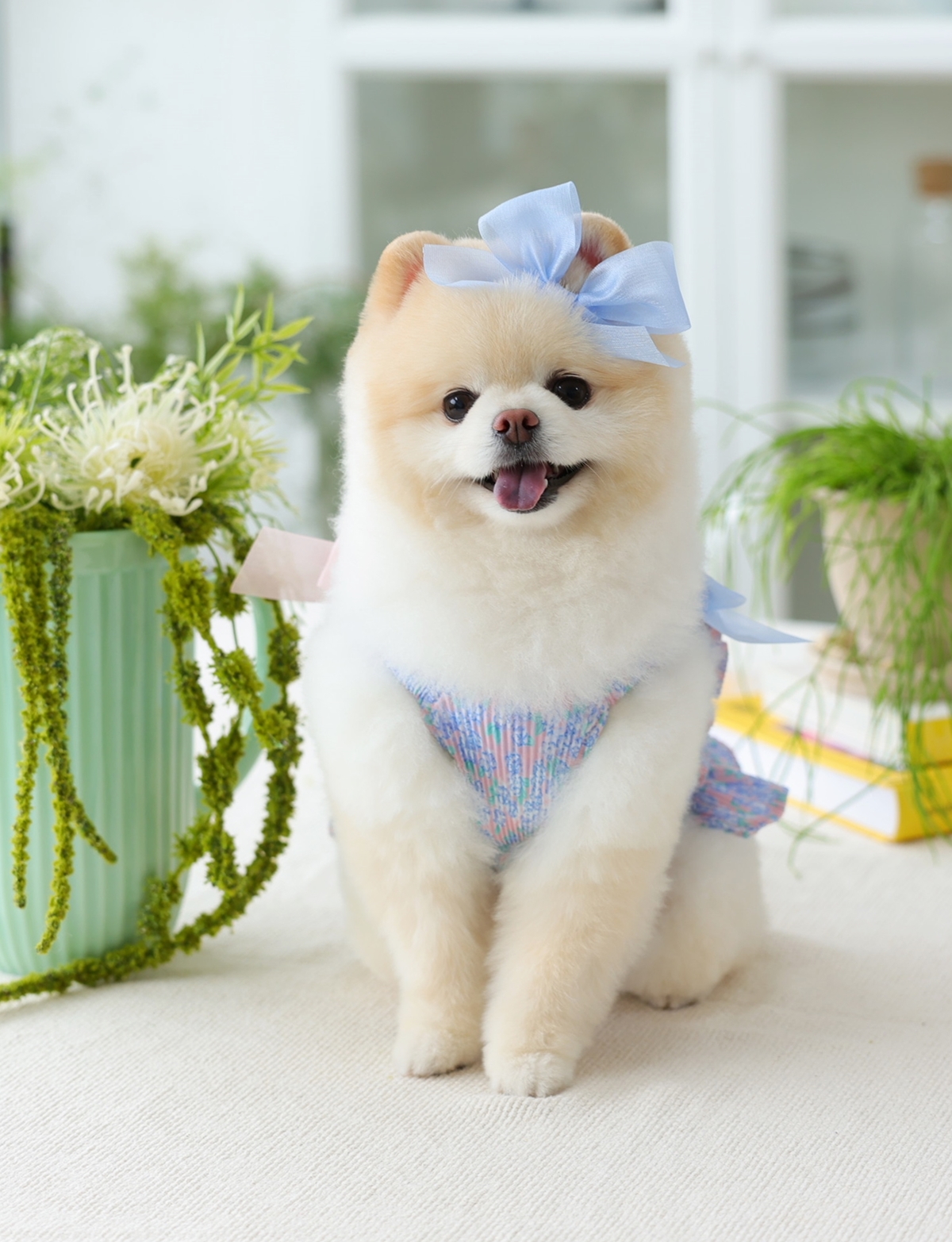 Flower Smocking Dress