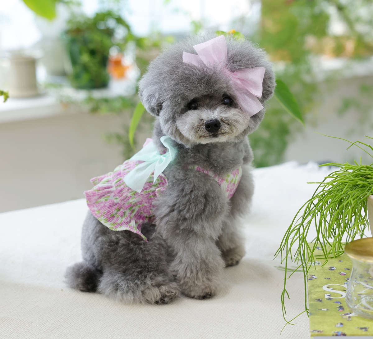 Flower Smocking Dress -Purple