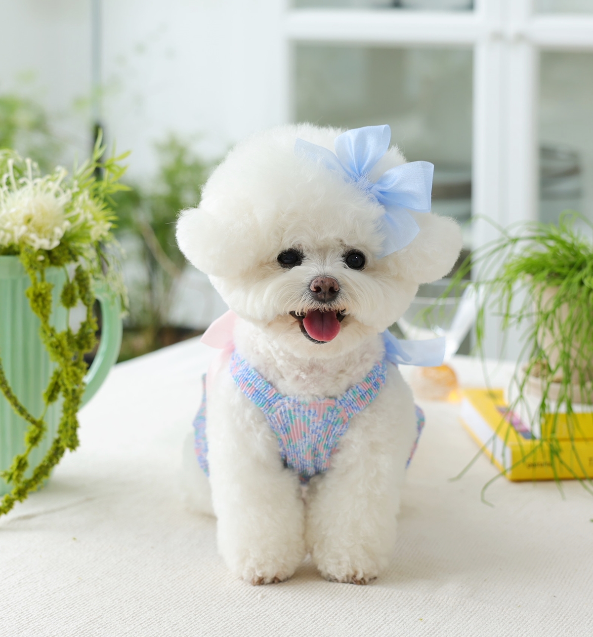 Flower Smocking Dress