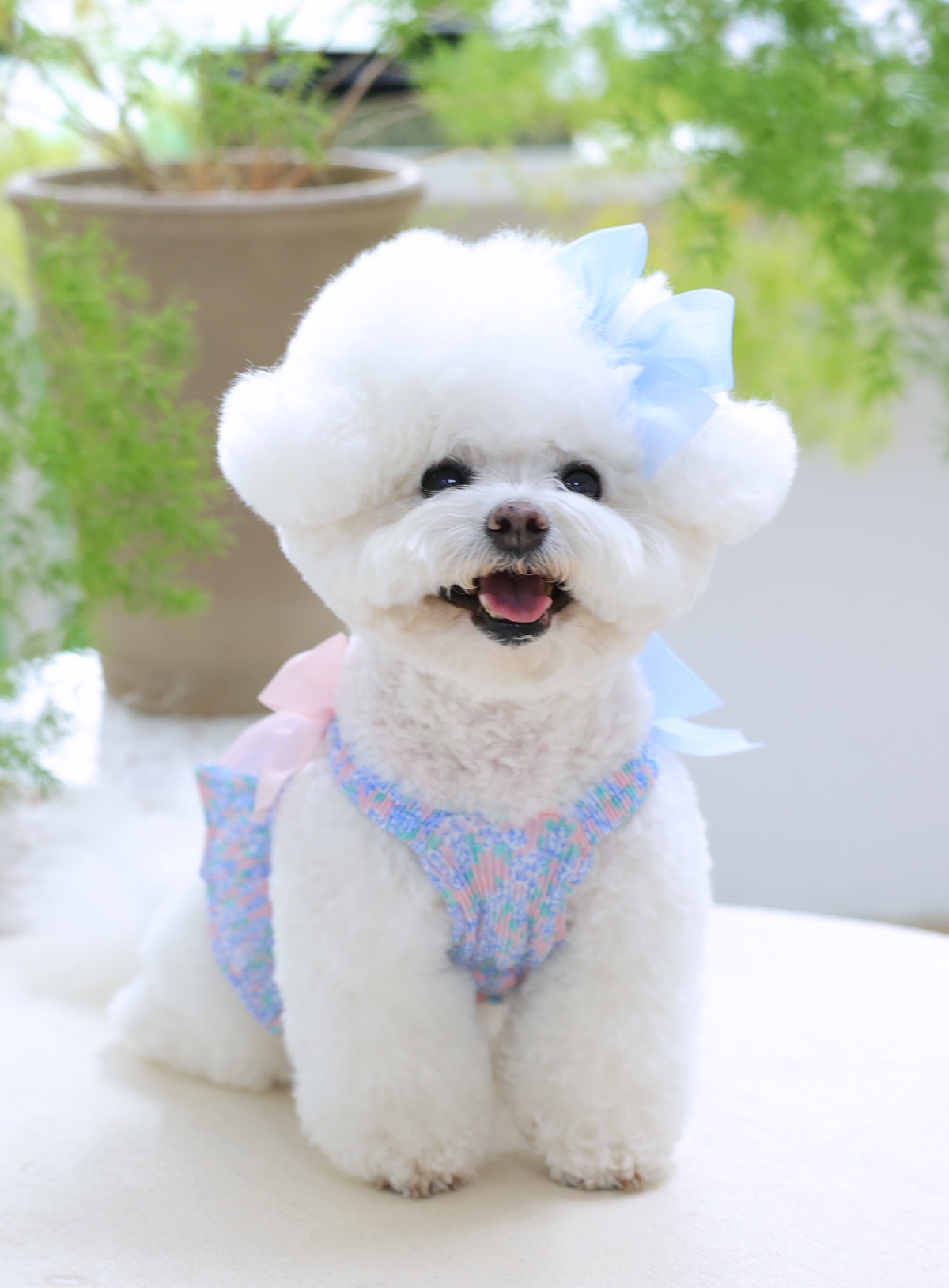 Flower Smocking Dress