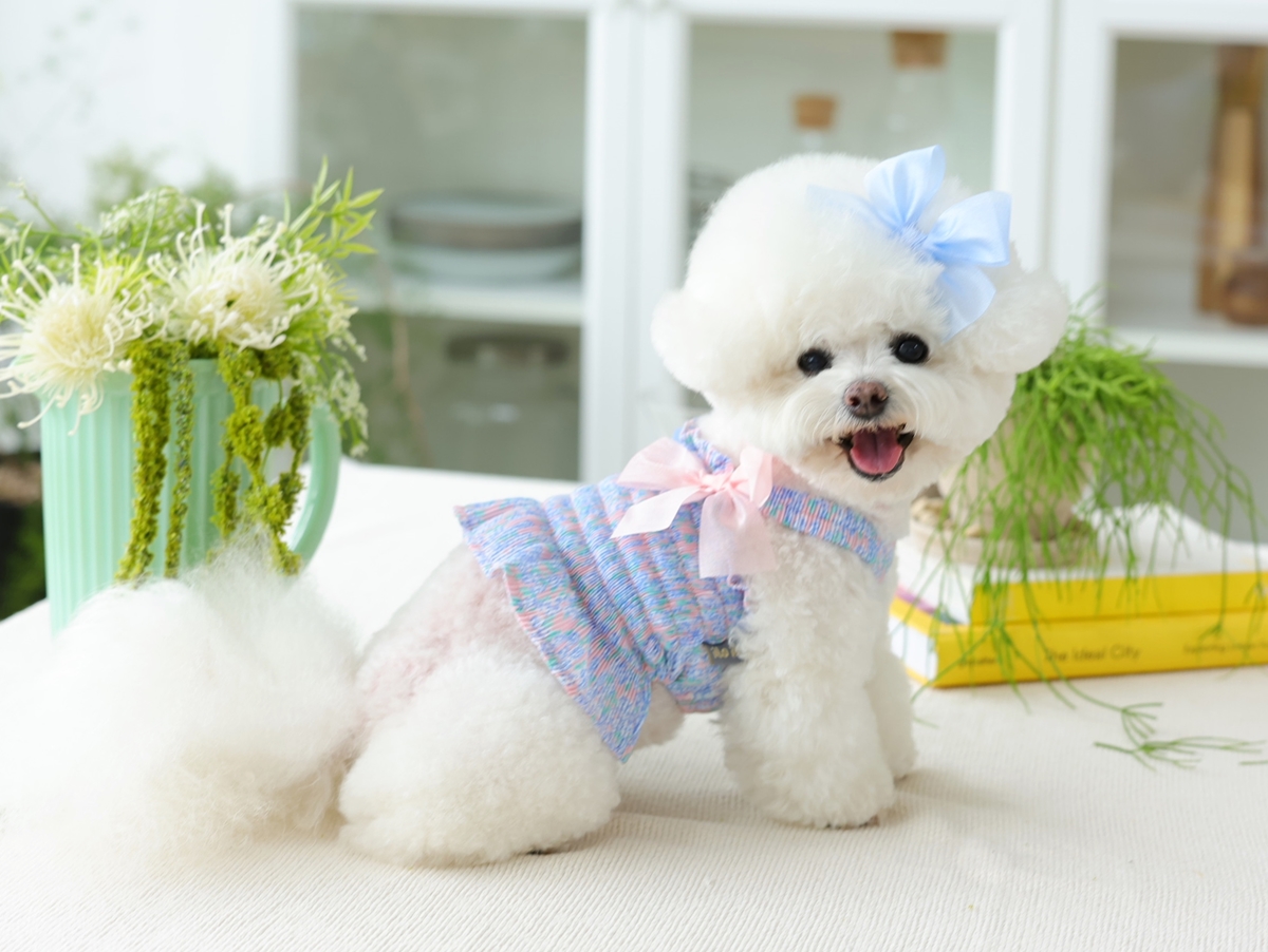 Flower Smocking Dress
