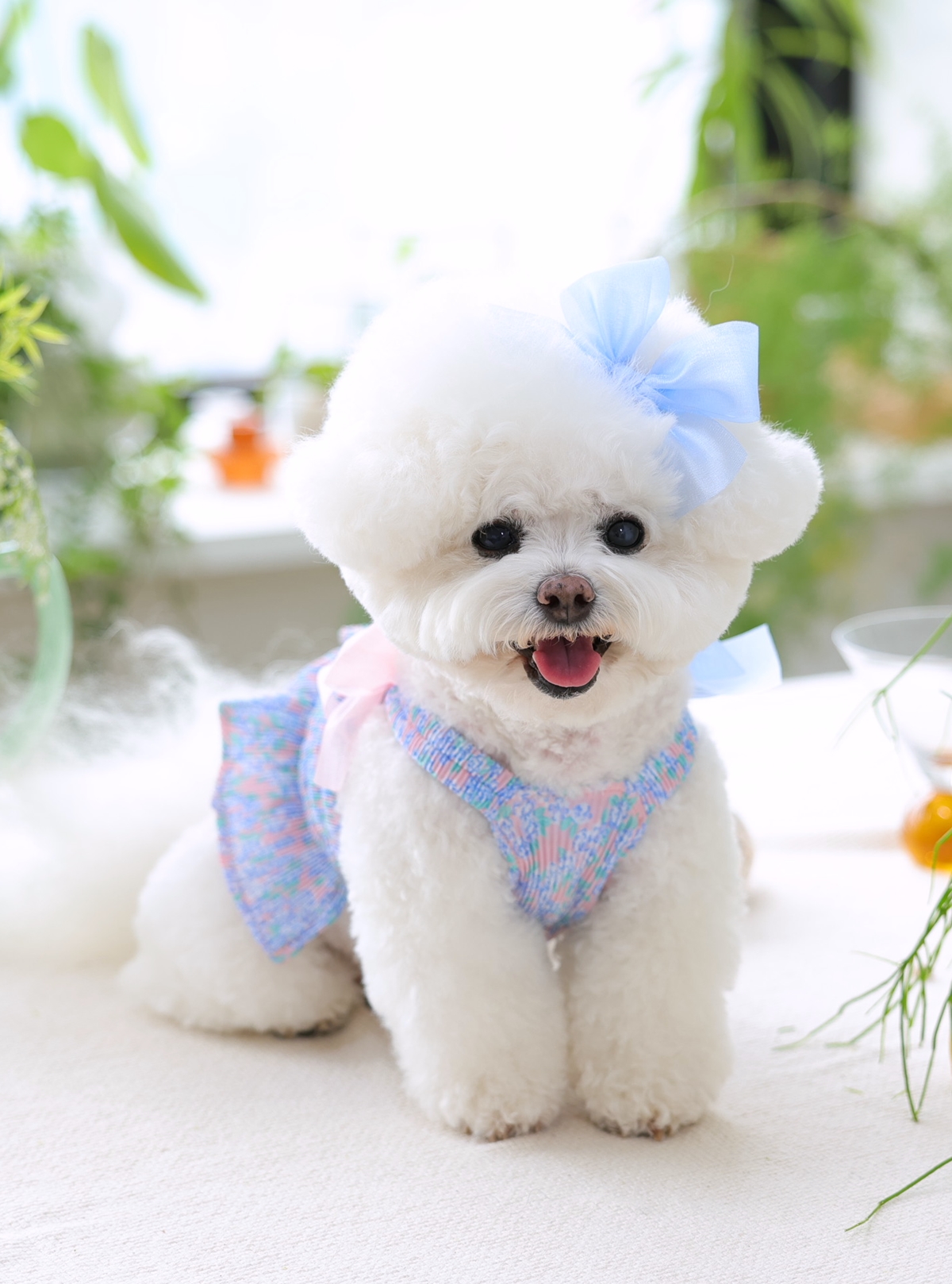 Flower Smocking Dress