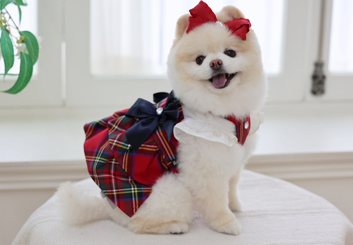 Tiffany Hair Ribbon