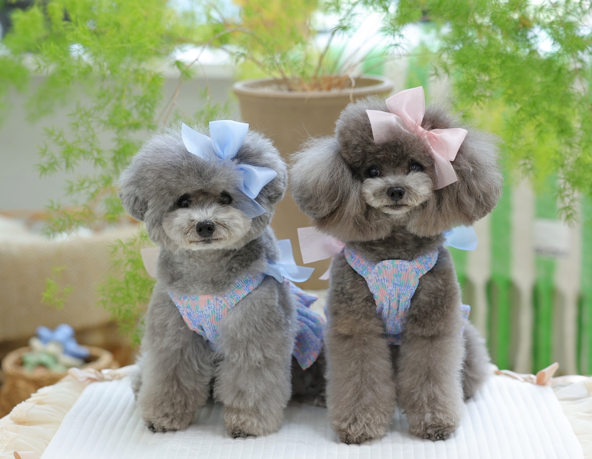 Shiny Hair Ribbon