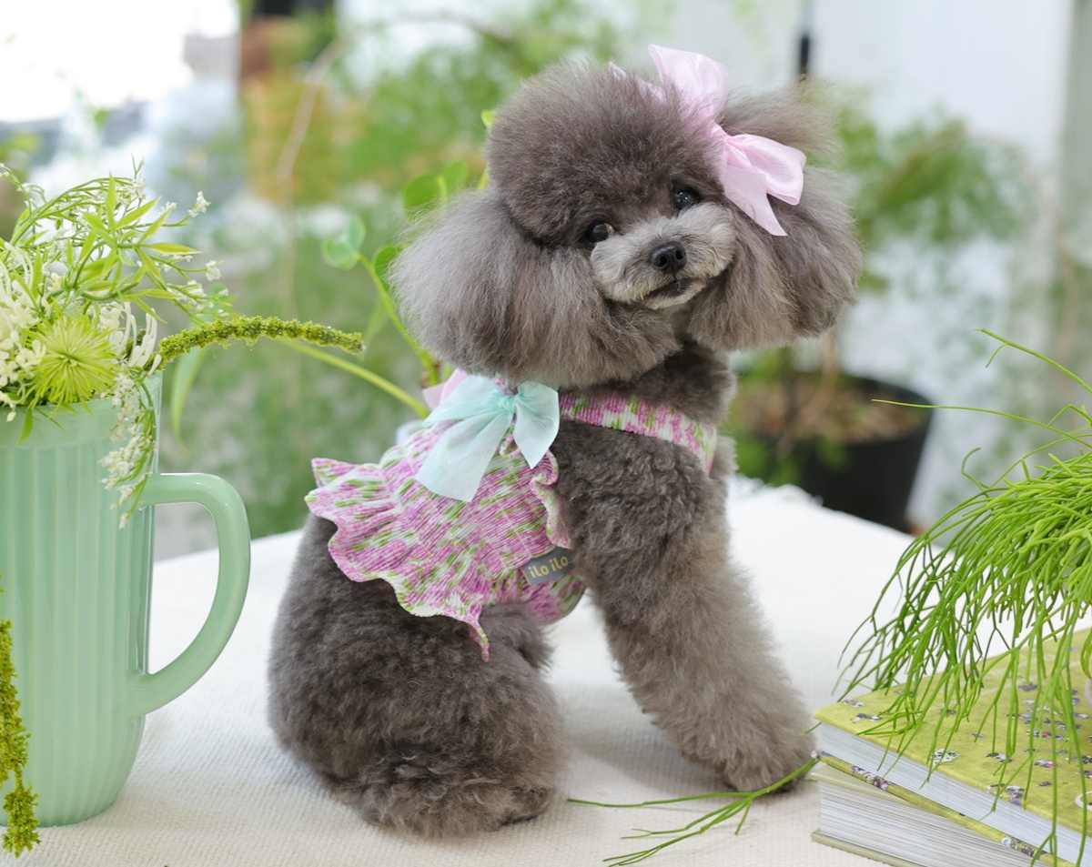 Flower Smocking Dress -Purple