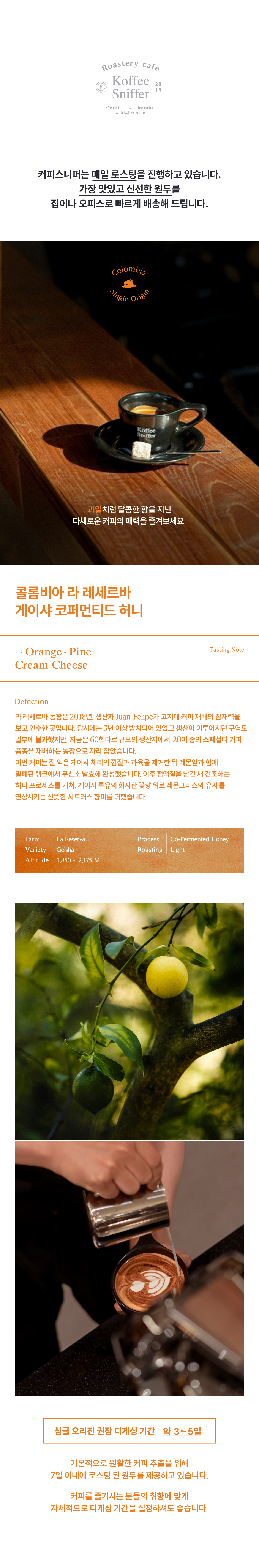 [오피스] 콜롬비아 호세 로드리게즈 무산소 내추럴 500g