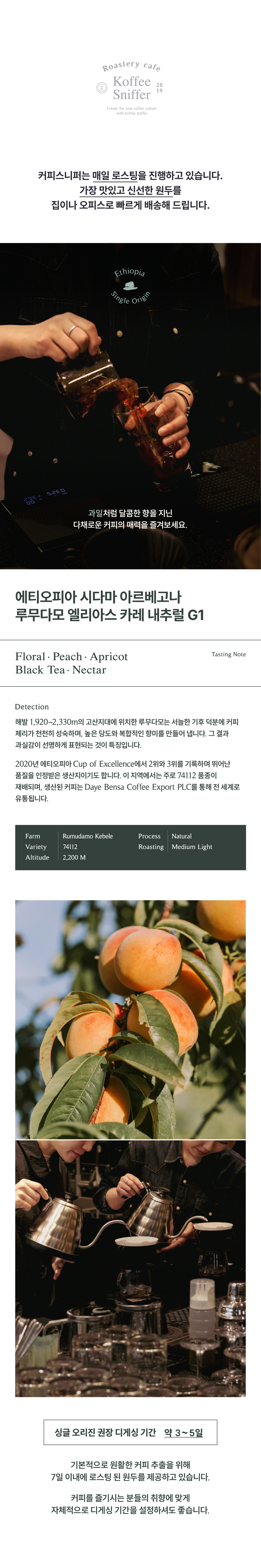 [오피스] 볼리비아 센다 살바예 게이샤 워시드 200g