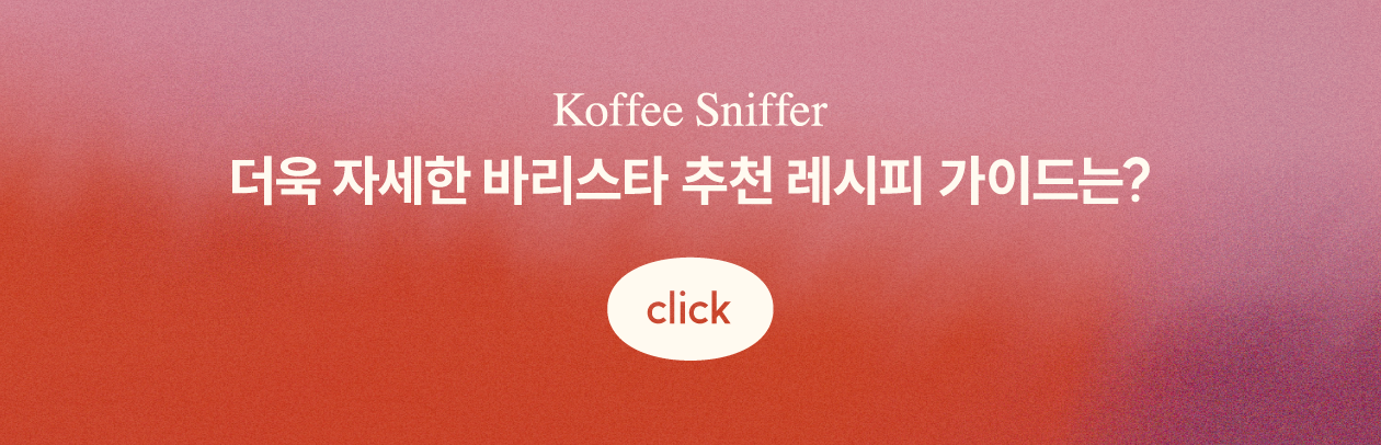 [오피스] 볼리비아 센다 살바예 게이샤 워시드 200g