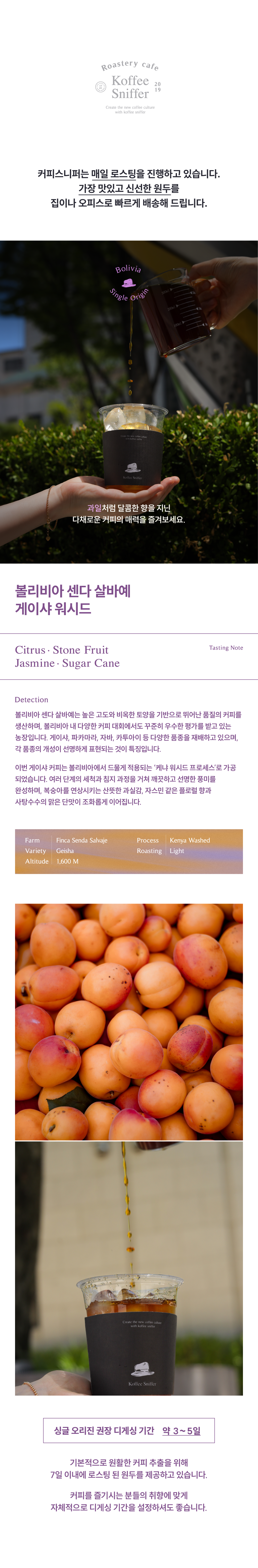볼리비아 센다 살바예 게이샤 워시드