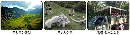 3589d863601b9.png