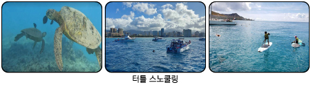ba6a980494d8a.png