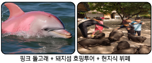 ce391dc796adf.png