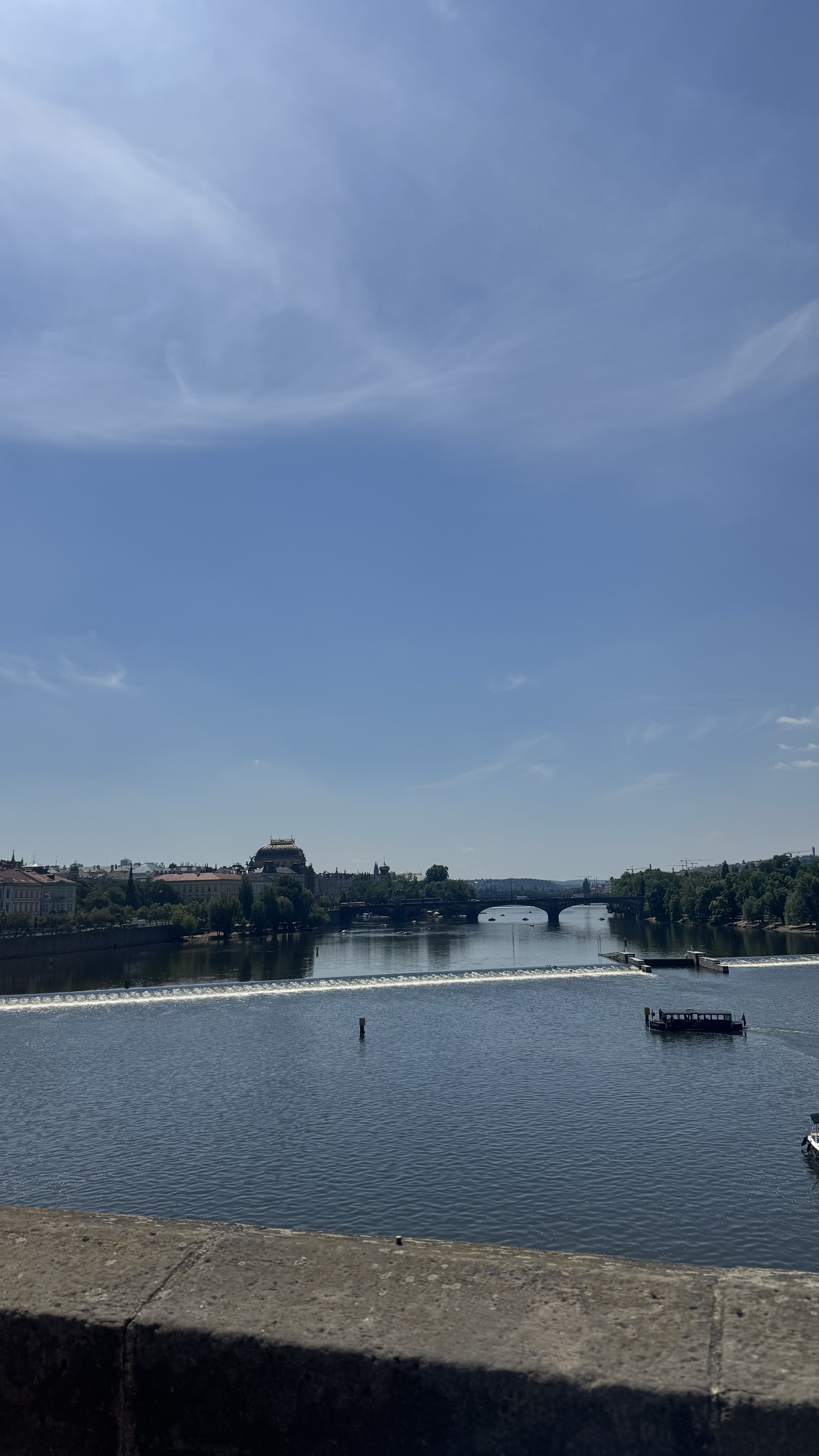 ef619609d9813.jpeg