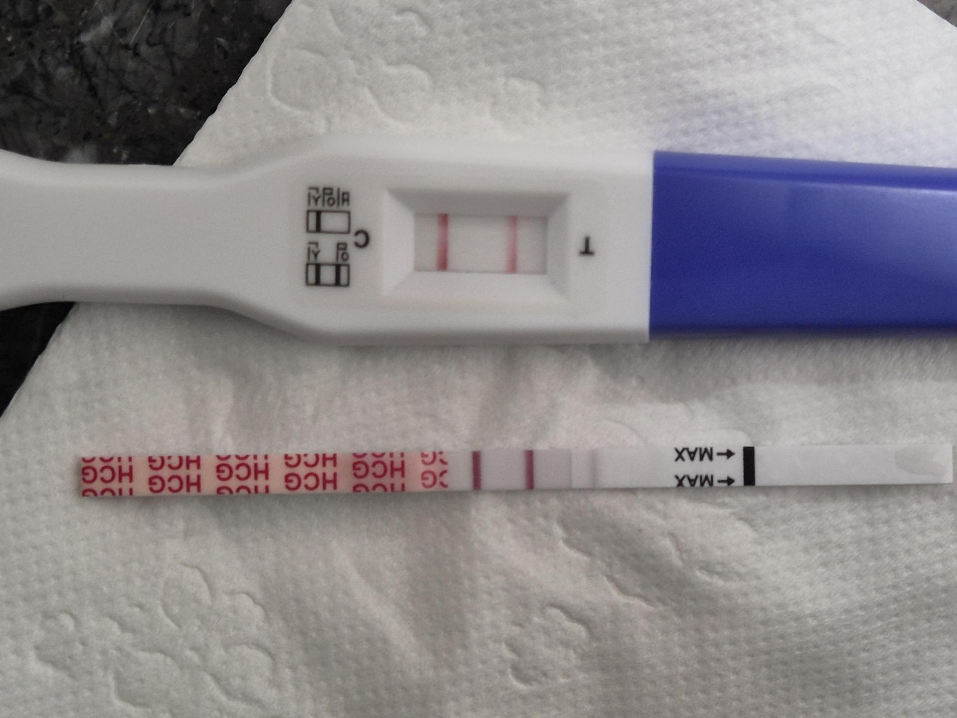 a5a2e075bb99d.jpg