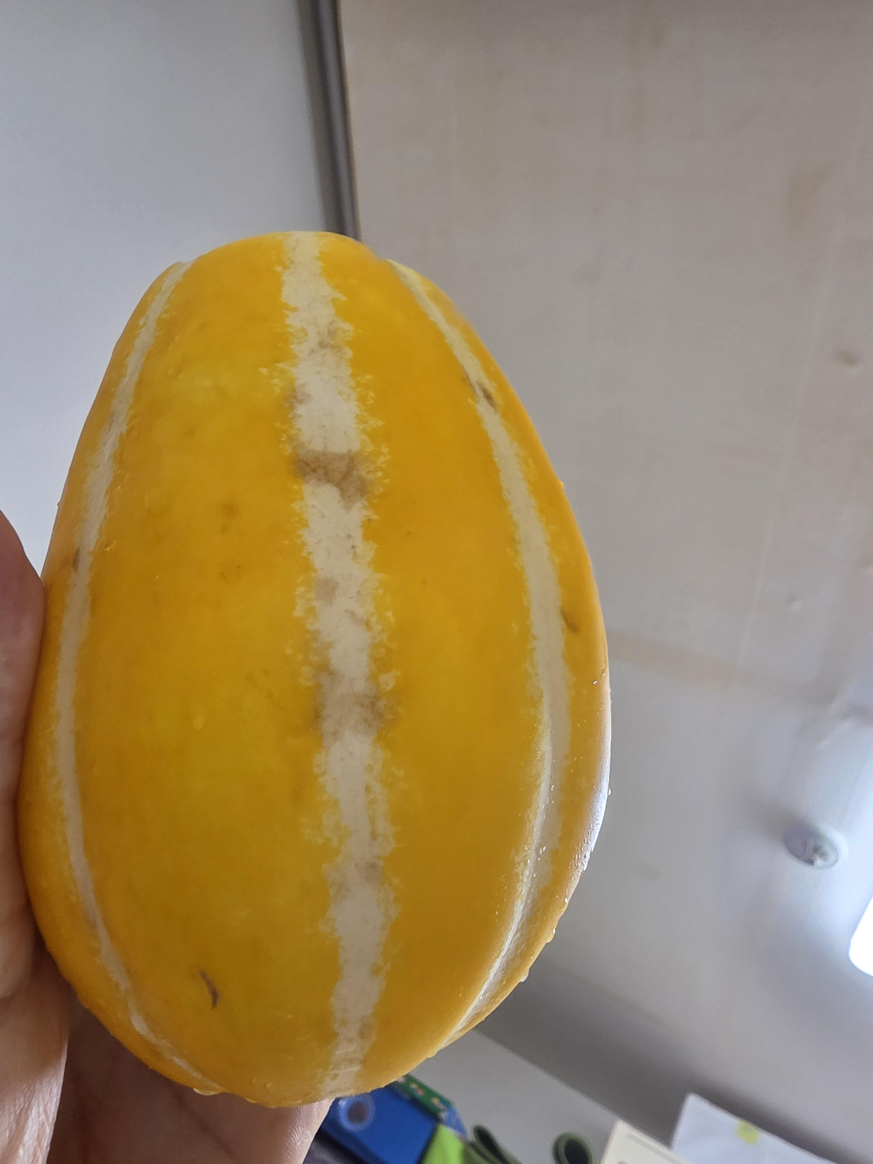 360c93621f01f.jpg