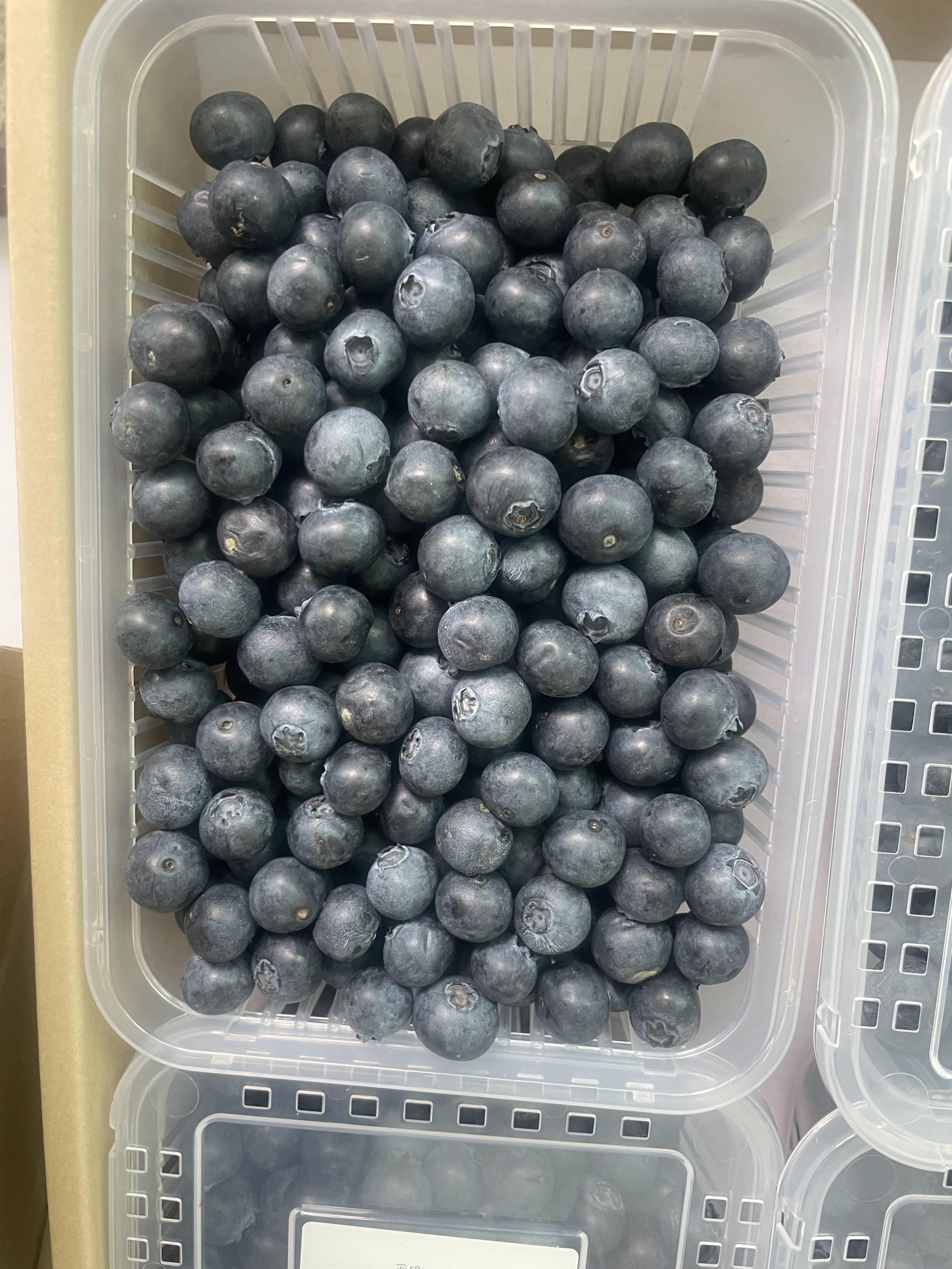 af9a164678140.jpeg
